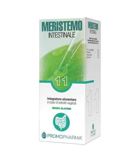 MERISTEMO INKAS 11 100ML