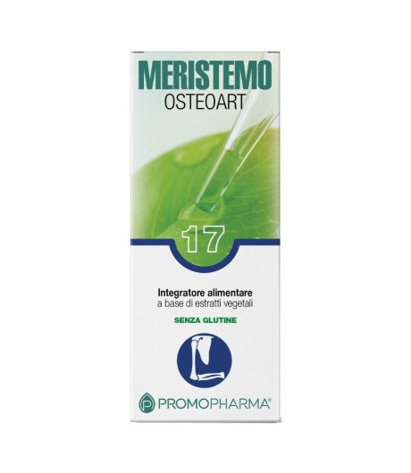 MERISTEMO INKAS 17 100ML