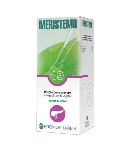 MERISTEMO INKAS 19 100ML