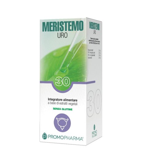 MERISTEMO INKAS 30 100ML