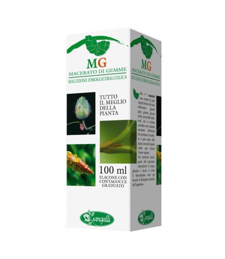 SEQUOIA 100ML MG