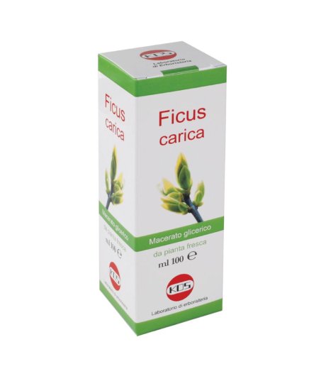 Ficus Carica Mg 100ml Gtt