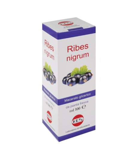 Ribes Nigrum Mg 100ml Gtt