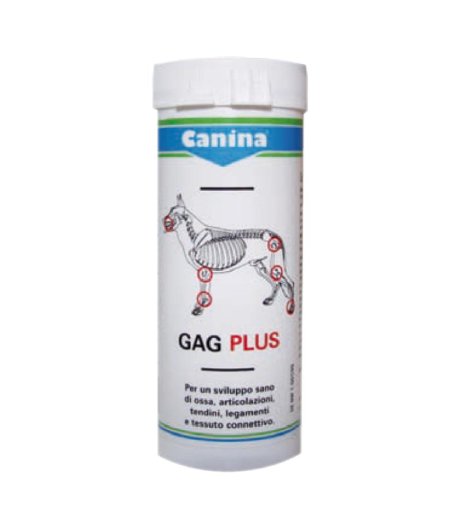 GAGPLUS 100 ca.60 Cpr