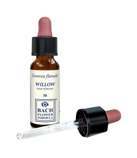 WILLOW ORIGINAL 10ML GTT