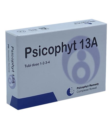 PSICOPHYT REMEDY 13A 4TUB 1,2G