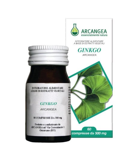 Ginkgo Biloba 60cps