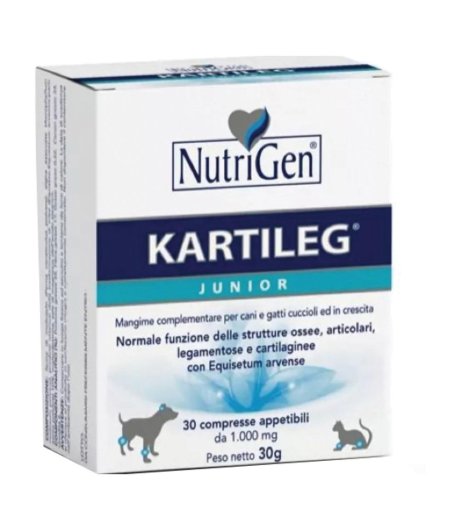 KARTILEG Junior 1g 600 Tav.