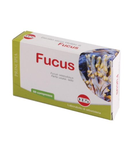 FUCUS ESTR SEC 60CPR