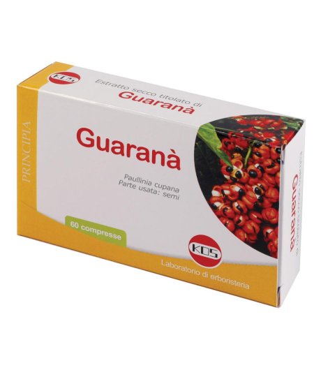 GUARANA E.S. 60CPR 300MG KOS