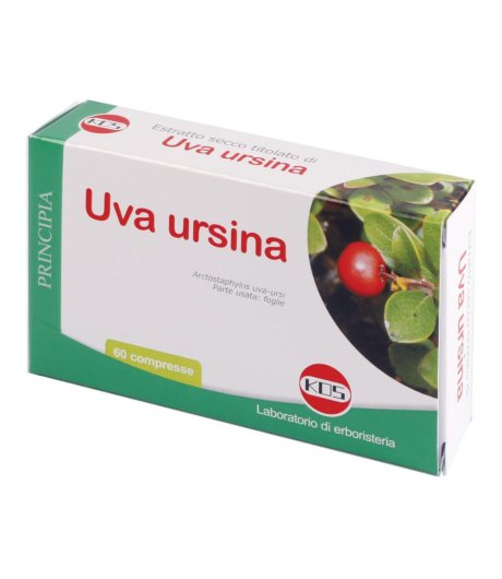 UVA URSINA E.S. 60 CPR 300MG K