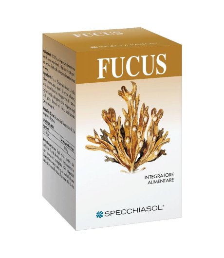 FUCUS ERBE 150TAV