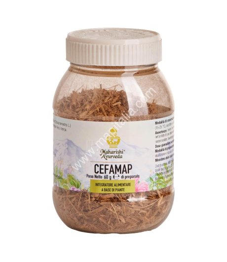 CEFAMAP POLV 60G