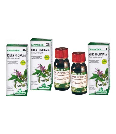 Gemmosol 3 Ippocastano 50ml