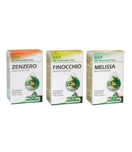 ZENZERO OLIO 10ML SPECCH