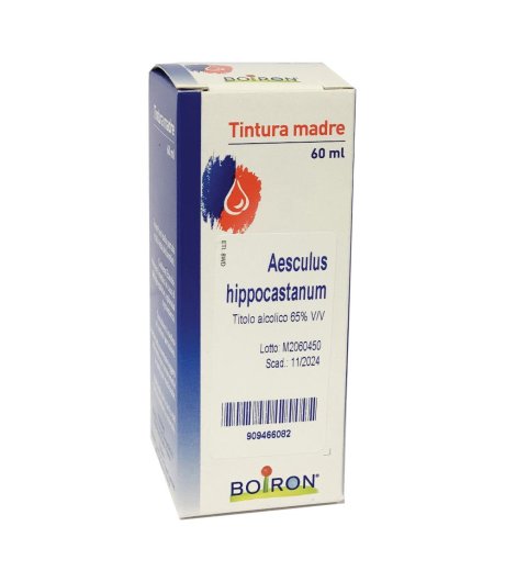 AESCULUS HIPPOCAST 60ML TM