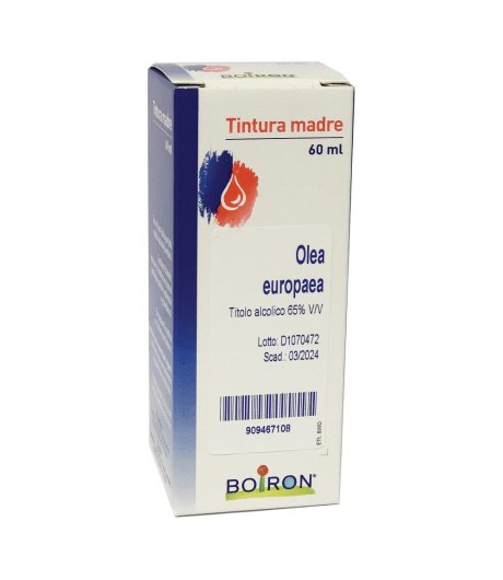 OLEA EUROPAEA 60ML TM