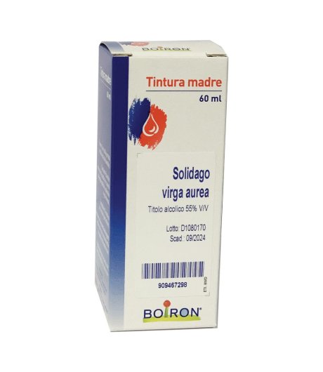 SOLIDAGO VIRGA AUREA 60ML TM