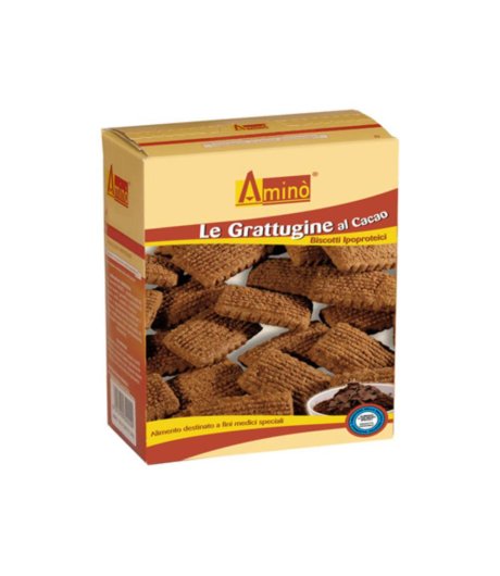 AMINO LE GRATTUGINE CACAO 200G