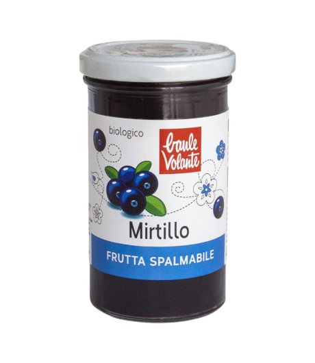 FRUTTA SPALMAB MIRTILLO 280G