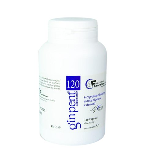 Ginpent 120cps 400mg