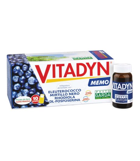 VITADYN MEMO 10FLX10ML S/GINKG