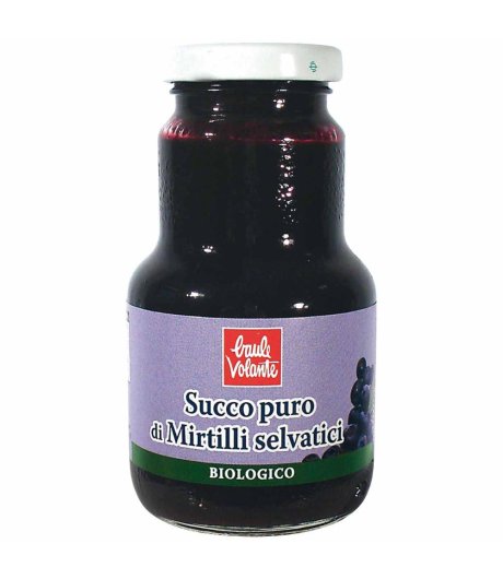 BIO Succo di Mirtillo 200ml.