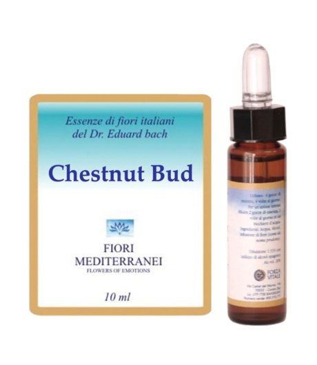 CHESTNUT BUD FIORI MEDITER GTT