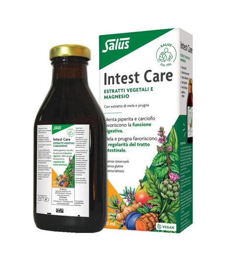 INTESTCARE LIQUIDO 250ML