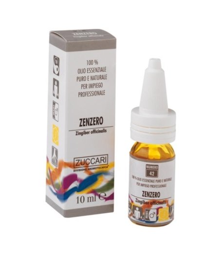 OLIO ESS NAT ZENZERO 5ML