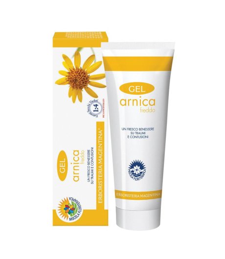 ARNICA GEL FREDDO 100ML