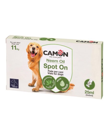 PROTECTION SPOTON CANE >10 5X5