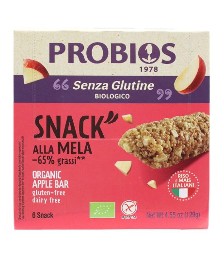 R&R Snack Riso Mela 6x21g