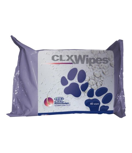 CLX WIPES 40 Salviette