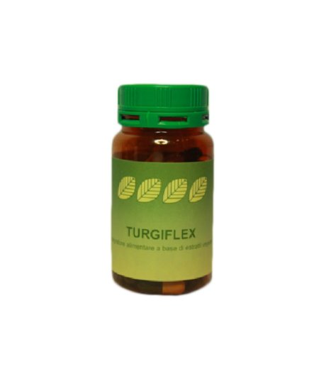 TURGIFLEX 60 Cps