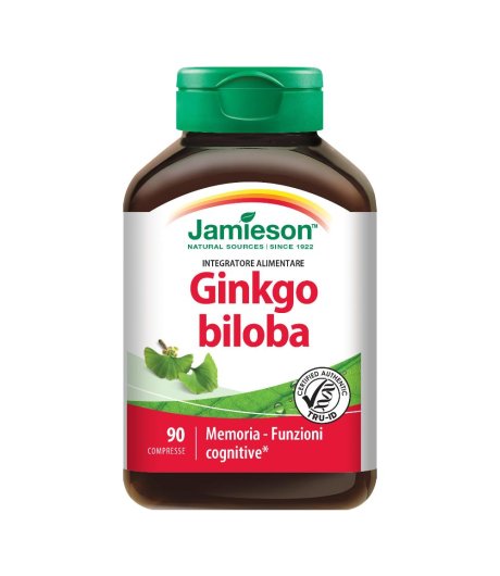 Ginkgo Biloba 90cpr