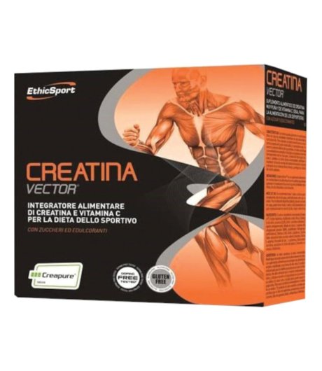 CREATINA VECTOR 20BUST 8G