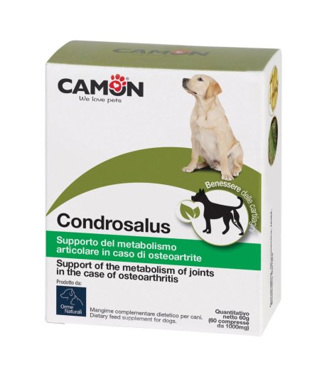 CONDROSALUS ORME NAT 60CPR