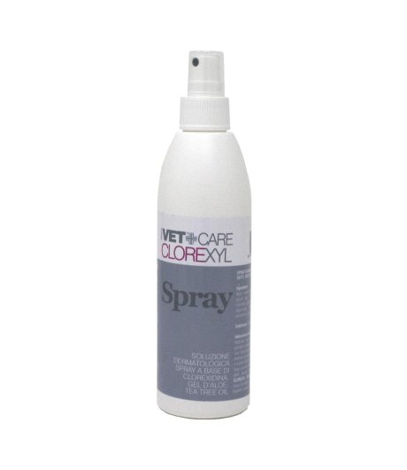 CLOREXYL Soluz.Spray 150ml