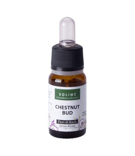 CHESTNUT BUD 10ML