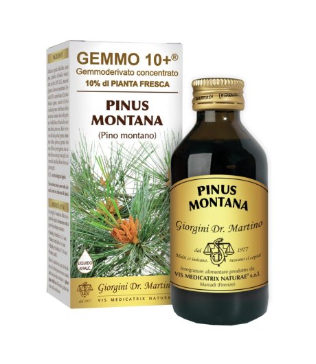 PINO MONT 100ML ANALCO GEM 10+