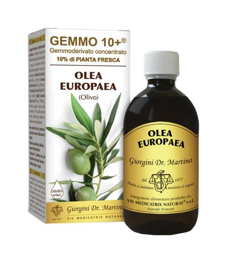 OLIVO 500ML ANALCO GEMMO 10+