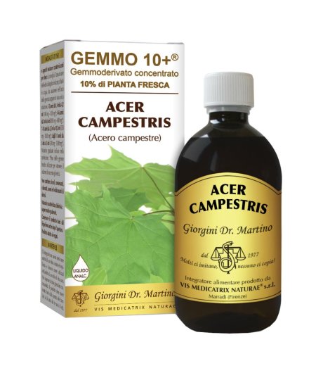 Acero Camp 500ml Analco Gem10+