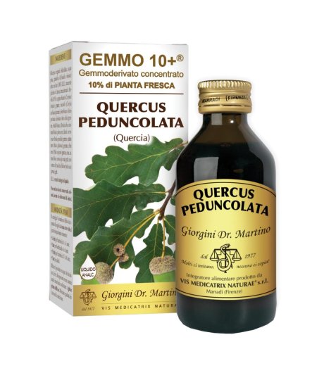 QUERCIA 100ML ANALCO GEMMO 10+