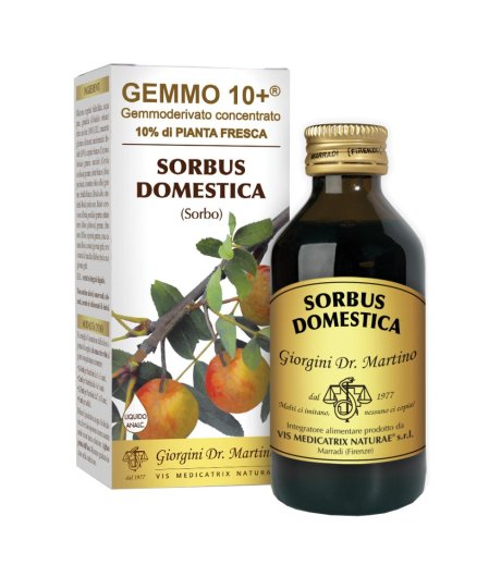 SORBO 100ML ANALCO GEMMO 10+