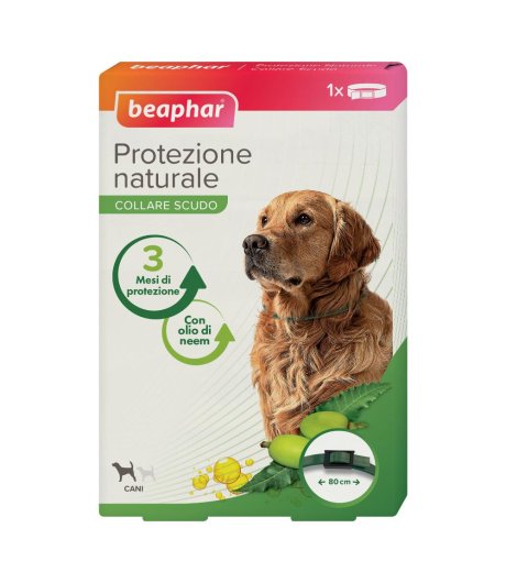 PROTEZIONE NAT COLLARE CANE GR