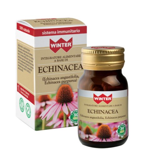 WINTER ECHINACEA 30CPS VEG