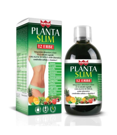 WINTER PLANTA SLIM 12ERBE500ML