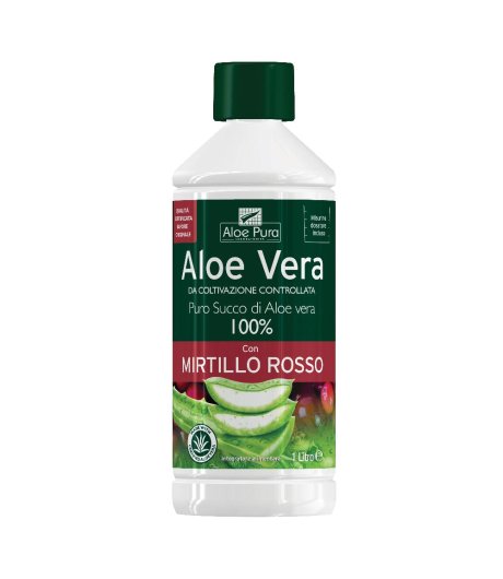 ALOE VERA SUCCO MIRTILLO 1L