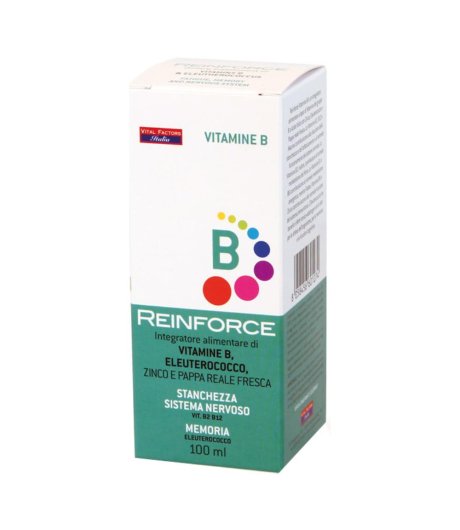 Reinforce Vitamina B 100ml